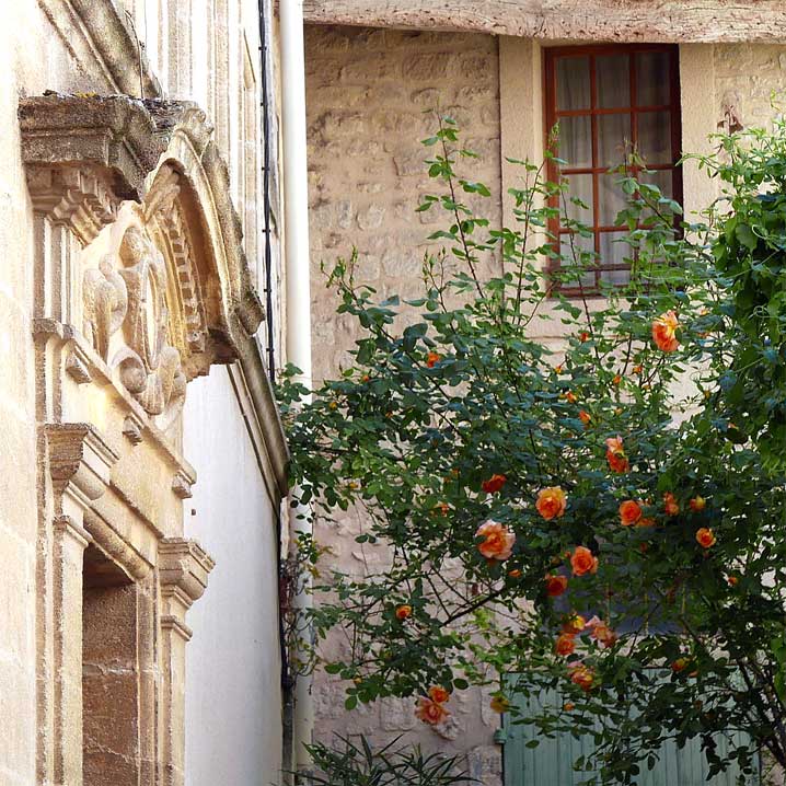 南仏の町とオレンジ色の花