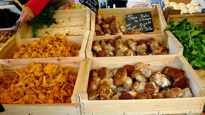 マルシェで売られているセップ茸、ジロール茸