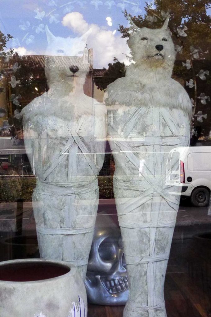 リル・シュル・ラ・ソルグのインテリアショップに展示されていたミイラのような服を着た狼？の立像