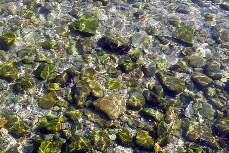 Cassisの透明な海。海の底の石がくっきり見える。