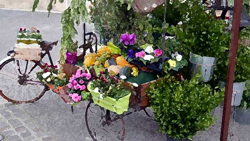 自転車や荷台をディスプレイ台にしている小さな花屋さん。プロヴァンスの広場にて。