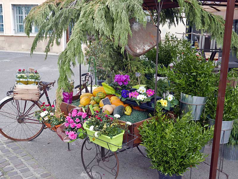 広場に出店していたプロヴァンスの移動花屋さん。自転車とリヤカーの上に素敵な花やグリーンが置かれている。