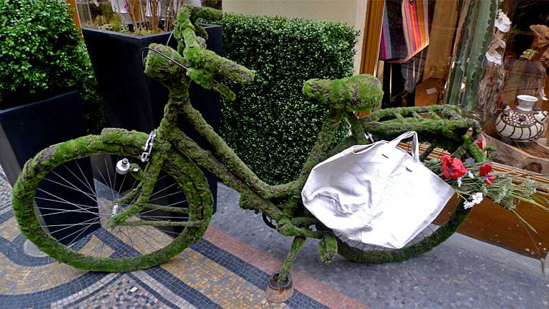 パリの店先で見かけた苔むした自転車