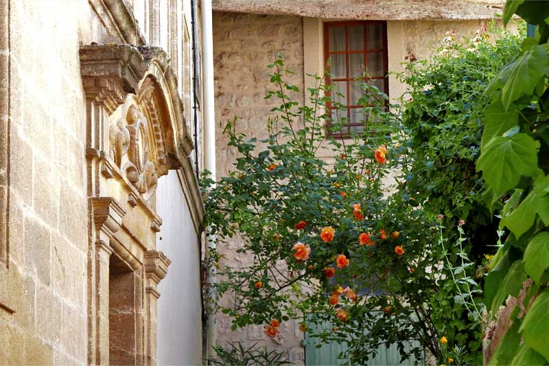 アンスウィ（Ansouis）村に咲くオレンジ色のモッコウバラと石造りの家。