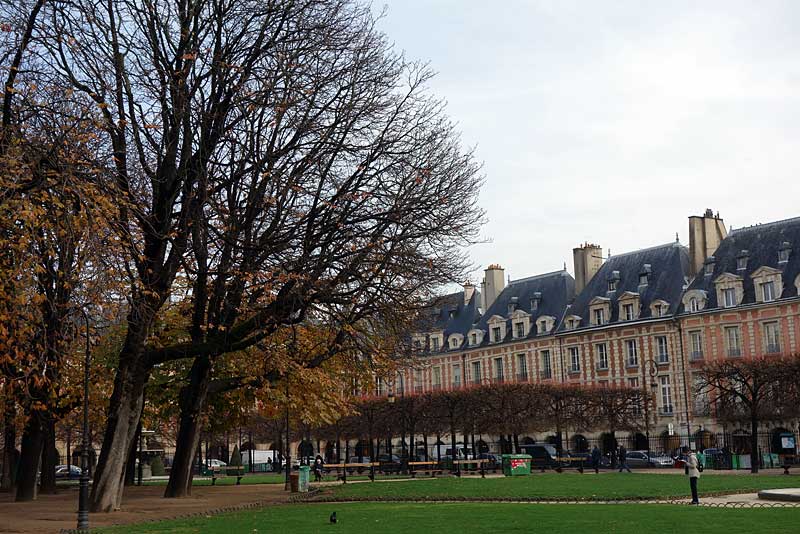 パリのヴォージュ広場。葉が落ちかかった大きな木の向こうにお馴染みのレンガ色の建物が見える。