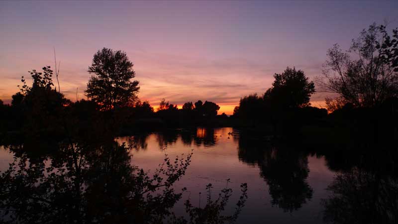 大きな池の向こうに夕焼けが見える