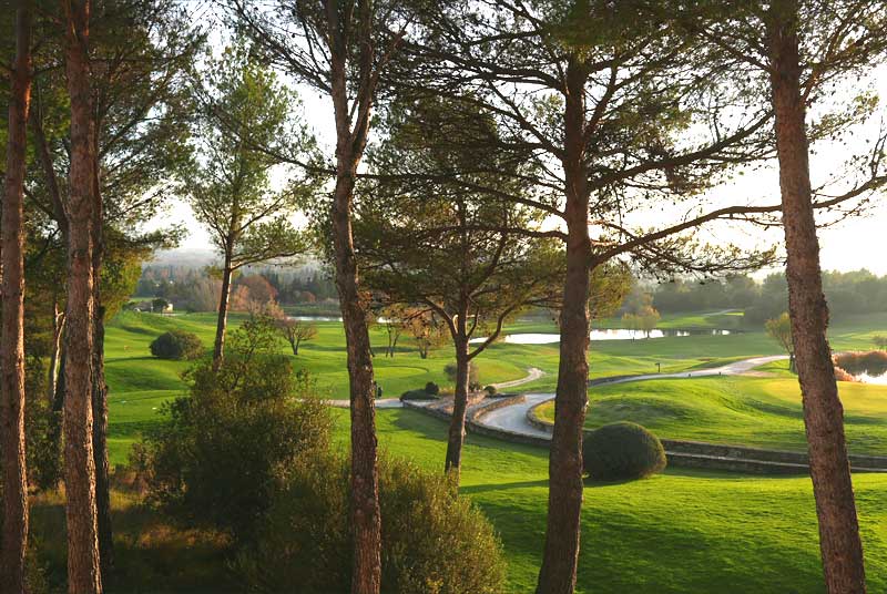 プロヴァンスのゴルフ場。美しいグリーンが広がっている。